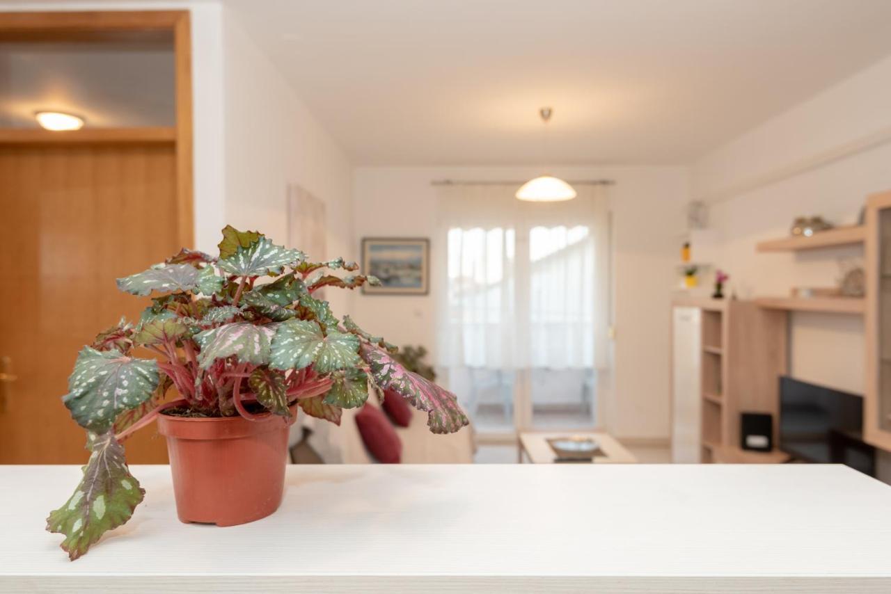 Apartman Valter Zadar Dış mekan fotoğraf